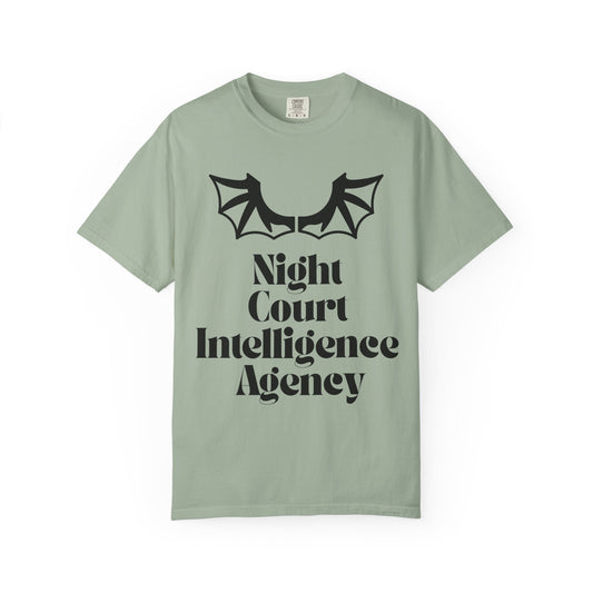 Night Court Intelligence Agency T-Shirt